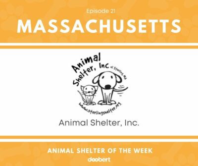 FB 21. Animal Shelter, Inc_Animal Shelter of the Week
