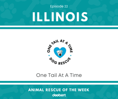 FB 22. One Tail At A Time_Animal Rescue of the Week