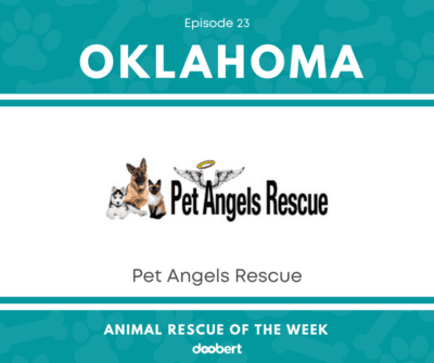 FB 23. Pet Angels Rescue_Animal Rescue of the Week