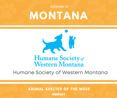 FB 25. Humane Society of Western Montana_Animal Shelter of the Week