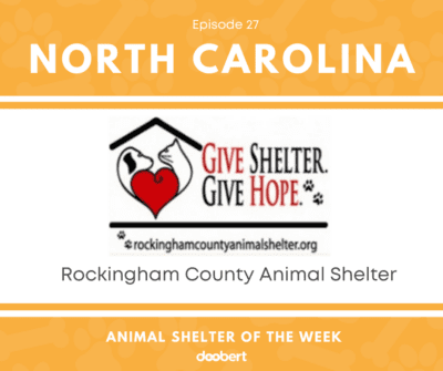 FB 27. Rockingham County Animal Shelter_Animal Shelter of the Week
