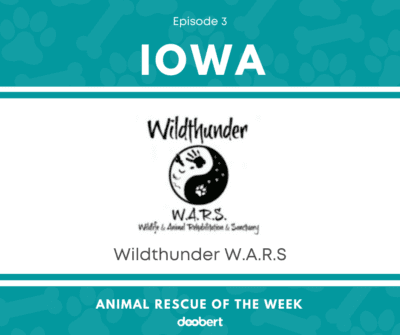 FB 3. Wildthunder W.A.R.S_Animal Rescue of the Week