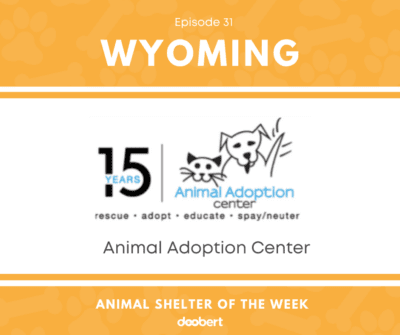 FB 31. Animal Adoption Center_Animal Shelter of the Week