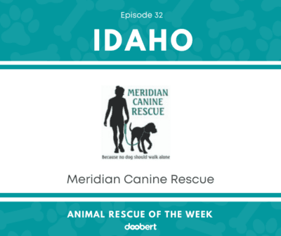 FB 32. Meridian Canine Rescue_Animal Rescue of the Week