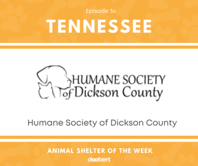 FB 34. Humane Society of Dickson County_Animal Shelter of the Week
