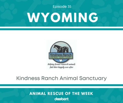 FB 35. Kindness Ranch Animal Sanctuary_Animal Rescue of the Week