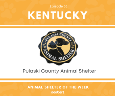 FB 35. Pulaski County Animal Shelter_Animal Shelter of the Week