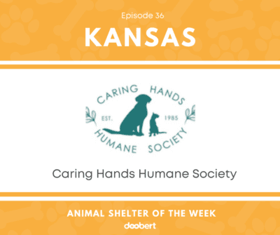 FB 36. Caring Hands Humane Society_Animal Shelter of the Week