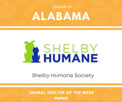 FB 38. Shelby Humane Society_Animal Shelter of the Week width=