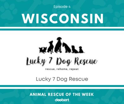 FB 4. Lucky 7 Dog Rescue_Animal Rescue of the Week
