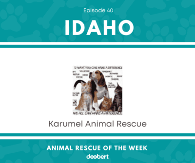 FB 40. Karumel Animal Rescue_Animal Rescue of the Week
