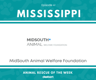 FB 41. MidSouth Animal Welfare Foundation_Animal Rescue of the Week