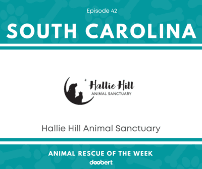 FB 42. Hallie Hill Animal Sanctuary_Animal Rescue of the Week