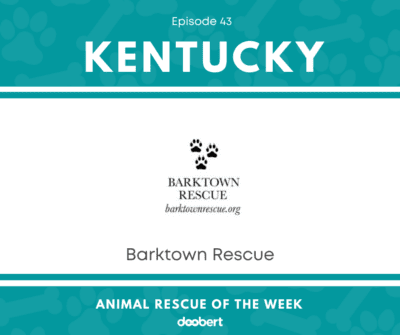 FB 43. Barktown Rescue_Animal Rescue of the Week