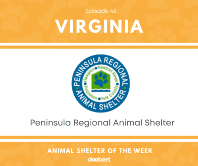 FB 43. Peninsula Regional Animal Shelter_Animal Shelter of the Week