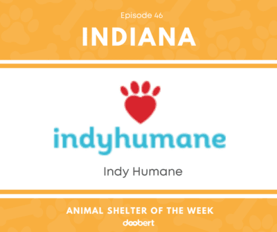 FB 46. Indy Humane_Animal Shelter of the Week
