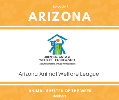 FB 5. Arizona Animal Welfare League _Shelter of the Week