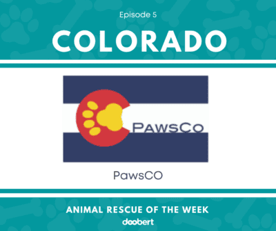 FB 5. PawsCO_Animal Rescue of the Week