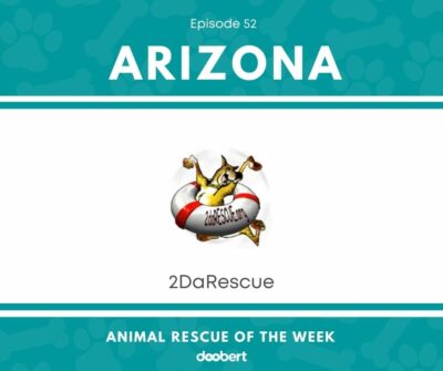 FB 52. 2DaRescue_Animal Rescue of the Week