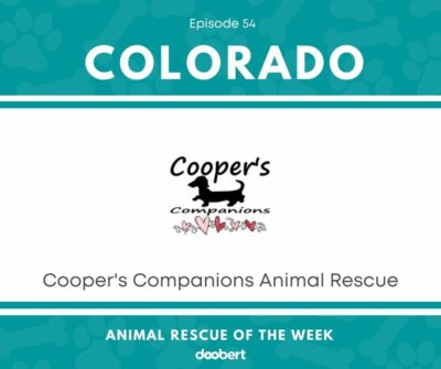 FB 54. Cooper's Companions Animal Rescue_Animal Rescue of the Week