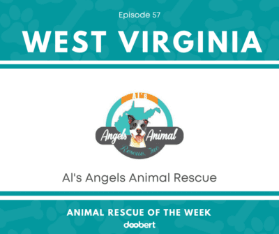 Al's Angels Animal Rescue
