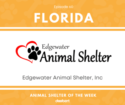 Edgewater Animal Shelter, Inc