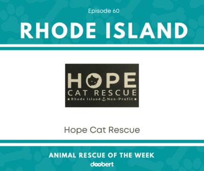 Hope Cat Rescue