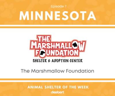 FB 7. The Marshmallow Foundation_Shelter of the Week