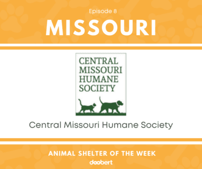 FB 8. Central Missouri Humane Society_Shelter of the Week
