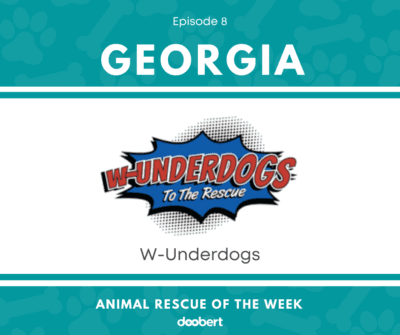 FB 8. W-Underdogs_Animal Rescue of the Week