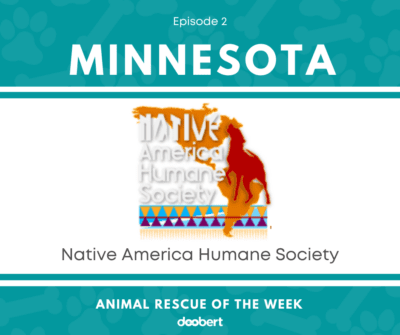 FB2. Native America Humane Society_Animal Rescue of the Week
