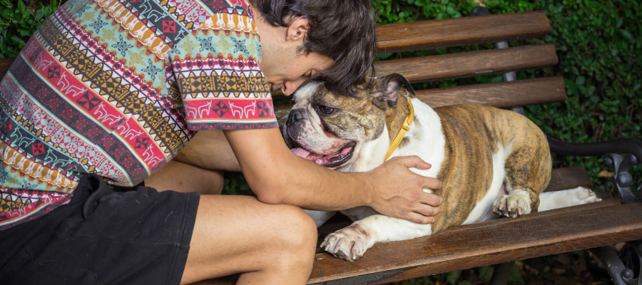 Bulldogs Are Beautiful Day: 6 Things that Make Bulldogs Beautiful (Inside and Out)