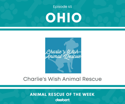 Charlie's Wish Animal Rescue