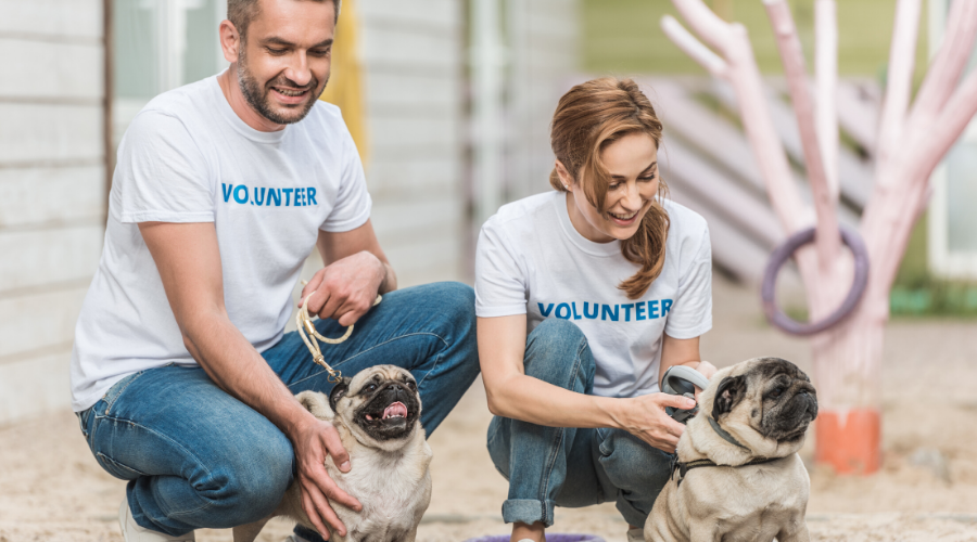 Volunteering in Animal Shelters: Your No-Prescription Happy Pill