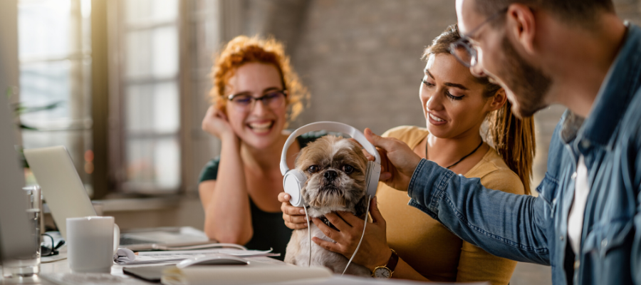  National Take Your Dog to Work Day: Off to Work With a Dog on Your Lap