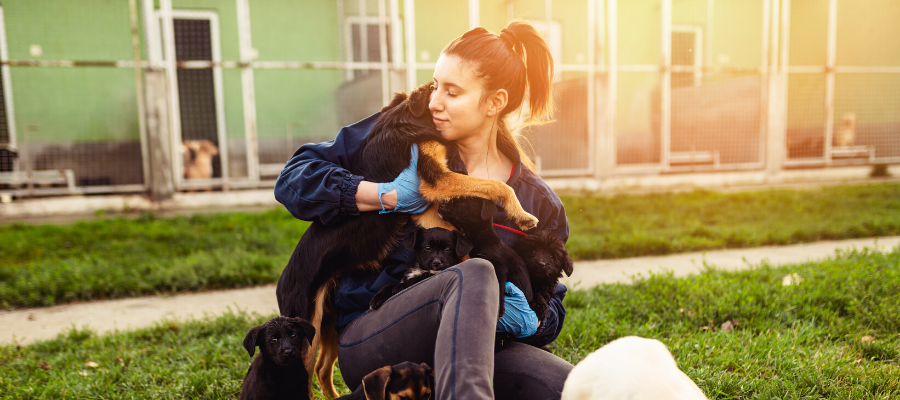 Volunteering in Animal Shelters: Your No-Prescription Happy Pill