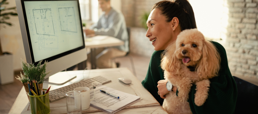  National Take Your Dog to Work Day: Off to Work With a Dog on Your Lap