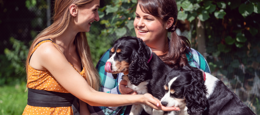 Volunteering in Animal Shelters: Your No-Prescription Happy Pill