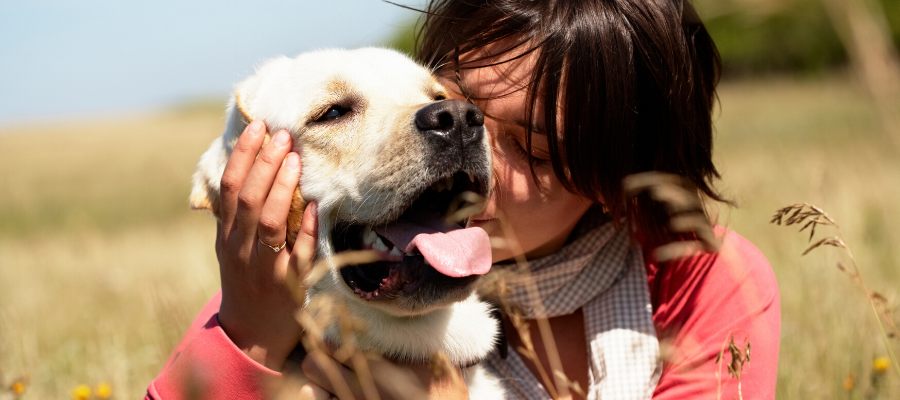 National Best Friends Day: 5 Reasons Why Dogs Are Called Man’s Best Friend