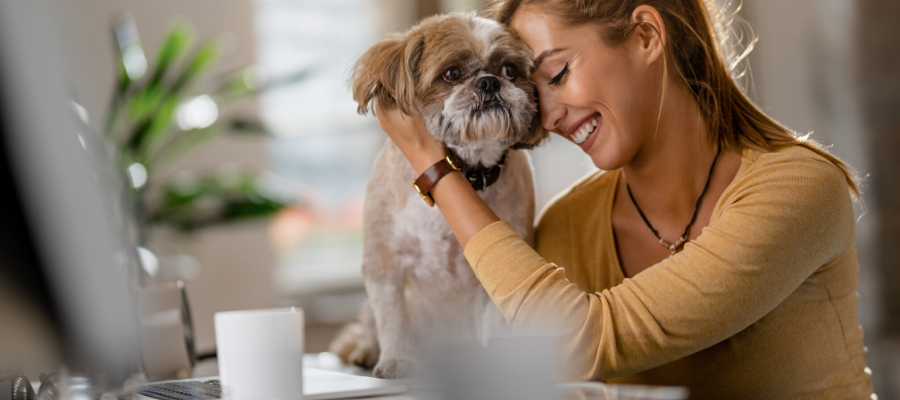  National Take Your Dog to Work Day: Off to Work With a Dog on Your Lap