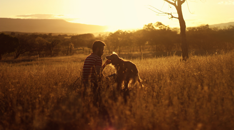 National Best Friends Day: 5 Reasons Why Dogs Are Called Man’s Best Friend