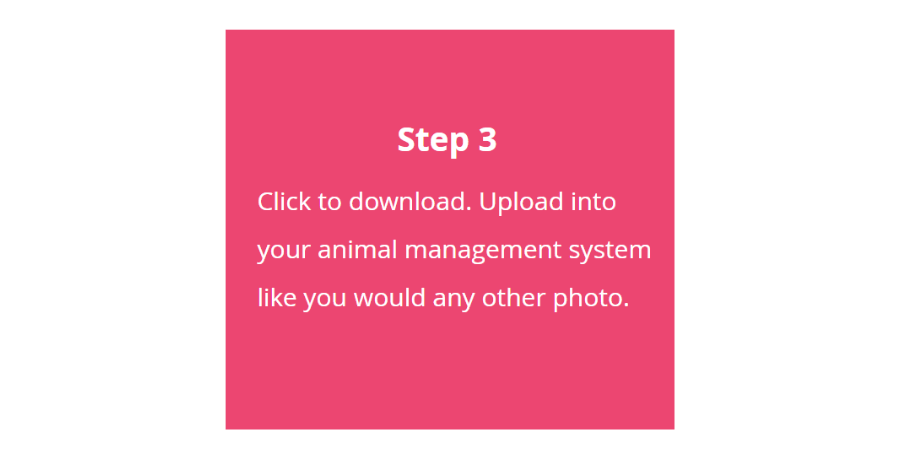 adoptimize step 3