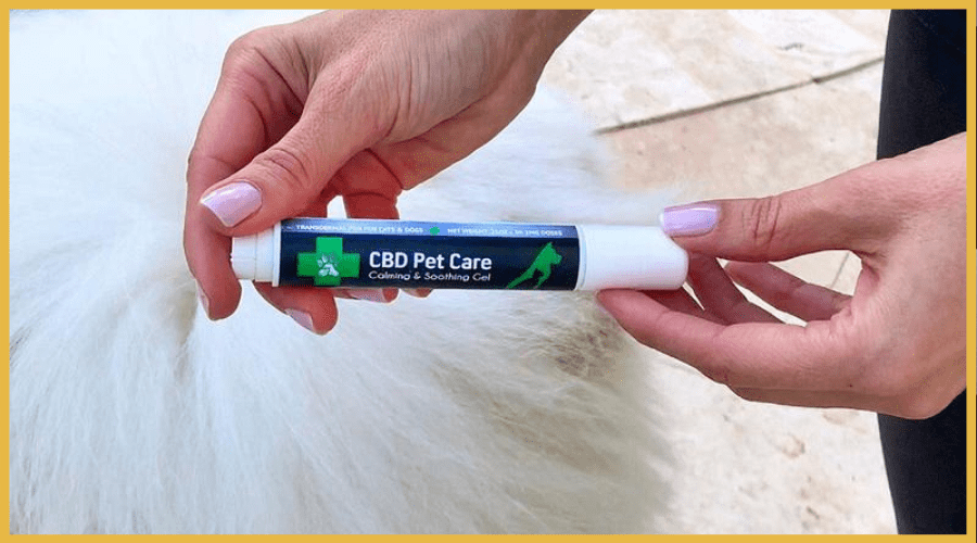 the green pet shop cbd pet care