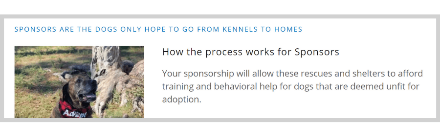process for sponsoring from kennels to home