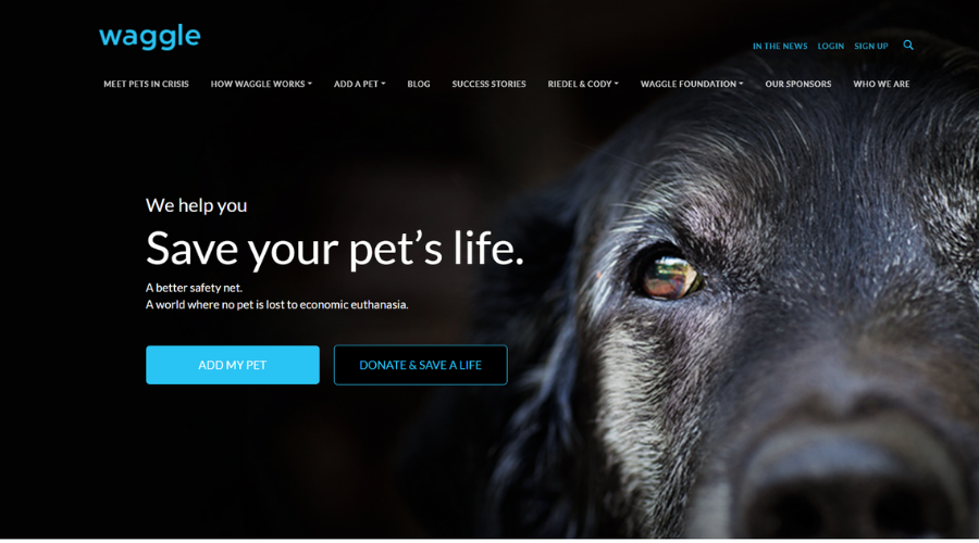 Only Pet Crowdfunding Platform in Partnership with Vets to Help Pet Owners with Vet Care | Waggle