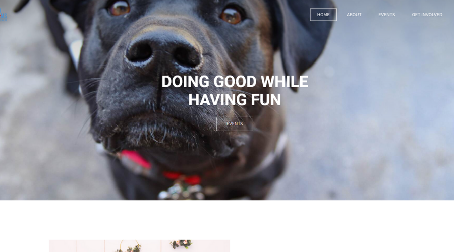 Connecting Dog Lovers and Vendors to Raise Funds for Shelters and Rescues | Real Dog Moms of Chicago