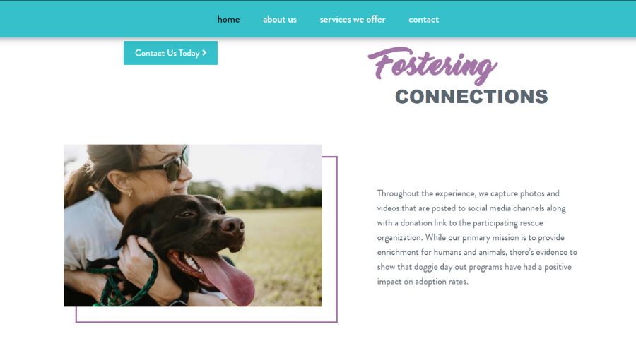 Helping Homeless Dogs Find Homes By Connecting Them with People | Stella's Ride