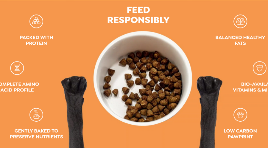 Sustainable Pet Foods That’s Good for Your Pet and the Planet | Petaluma