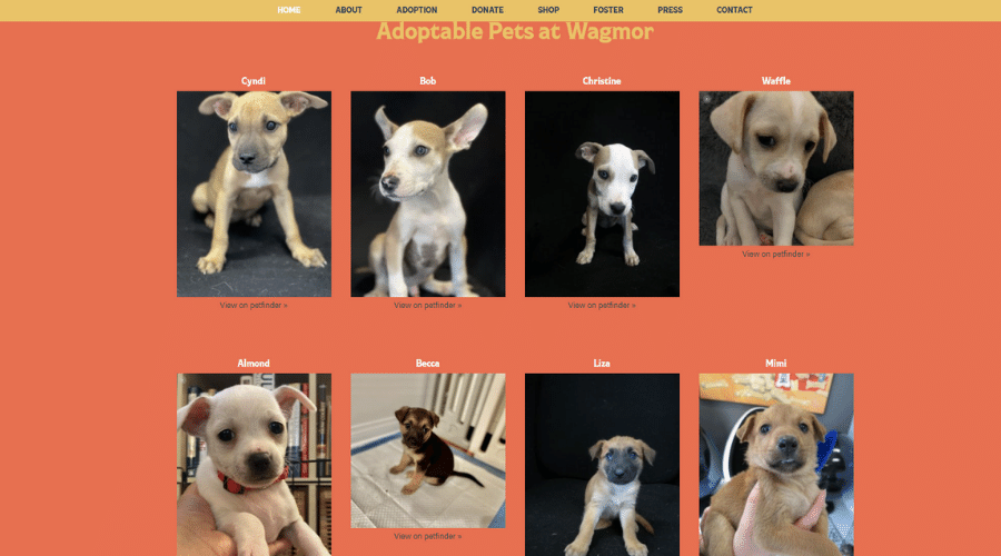 Wagmor pet hot sale adoption