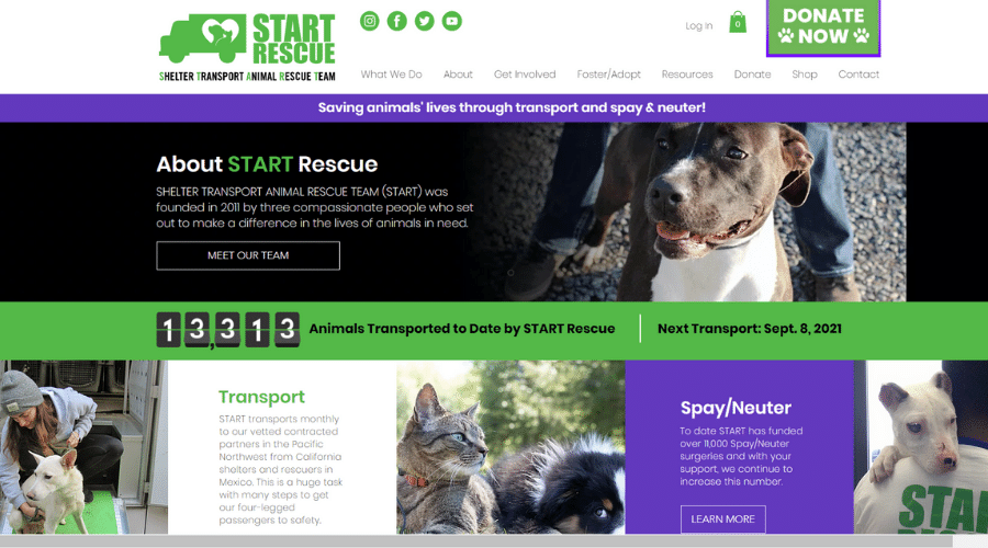 Saving Homeless Animals in Southern California Through Transports and Spay/Neuter | START Rescue